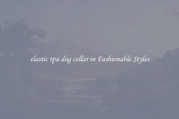 elastic tpu dog collar in Fashionable Styles