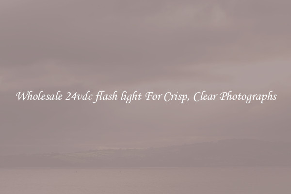 Wholesale 24vdc flash light For Crisp, Clear Photographs