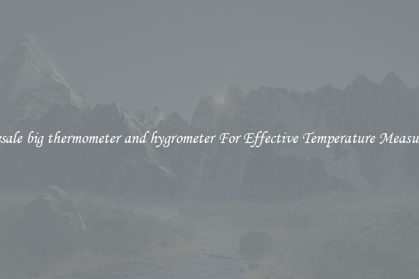 Wholesale big thermometer and hygrometer For Effective Temperature Measurement