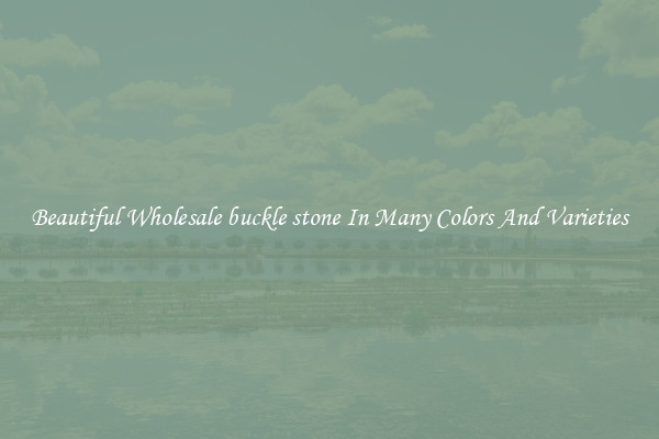 Beautiful Wholesale buckle stone In Many Colors And Varieties
