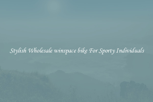 Stylish Wholesale winspace bike For Sporty Individuals