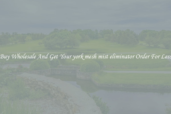Buy Wholesale And Get Your york mesh mist eliminator Order For Less