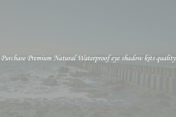 Purchase Premium Natural Waterproof eye shadow kits quality