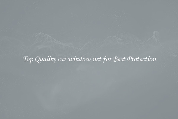Top Quality car window net for Best Protection