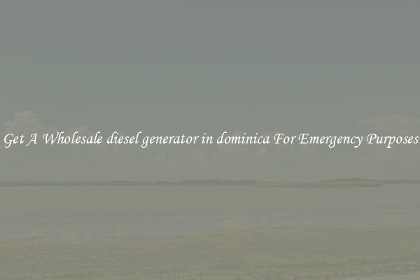 Get A Wholesale diesel generator in dominica For Emergency Purposes