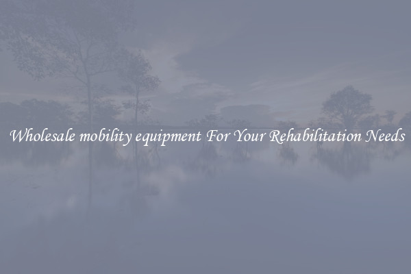 Wholesale mobility equipment For Your Rehabilitation Needs