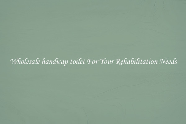 Wholesale handicap toilet For Your Rehabilitation Needs