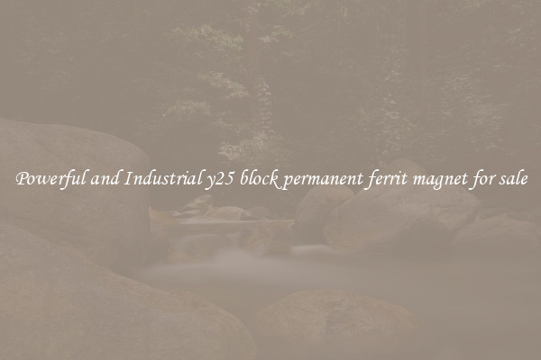 Powerful and Industrial y25 block permanent ferrit magnet for sale