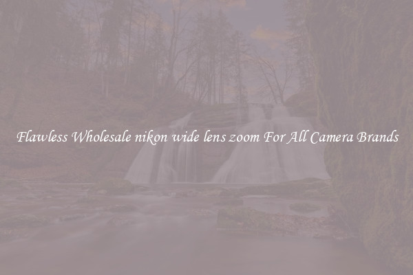 Flawless Wholesale nikon wide lens zoom For All Camera Brands