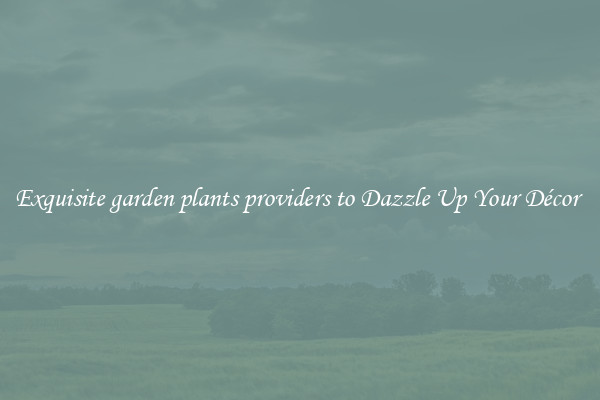 Exquisite garden plants providers to Dazzle Up Your Décor 