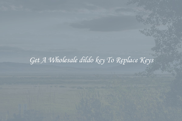 Get A Wholesale dildo key To Replace Keys