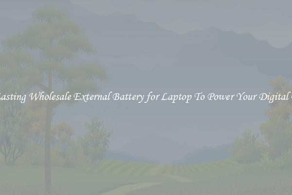 Long Lasting Wholesale External Battery for Laptop To Power Your Digital Devices