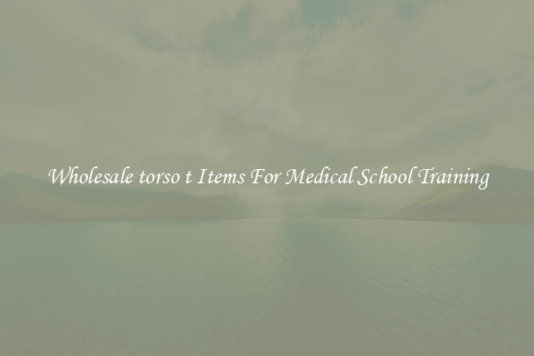 Wholesale torso t Items For Medical School Training