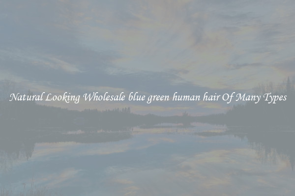 Natural Looking Wholesale blue green human hair Of Many Types