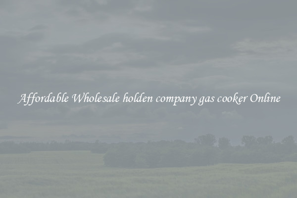 Affordable Wholesale holden company gas cooker Online