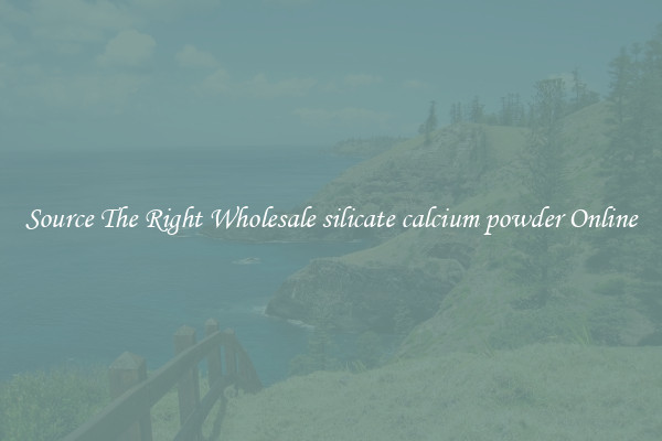Source The Right Wholesale silicate calcium powder Online