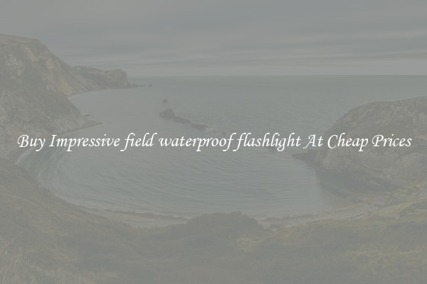 Buy Impressive field waterproof flashlight At Cheap Prices