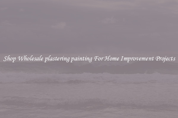 Shop Wholesale plastering painting For Home Improvement Projects