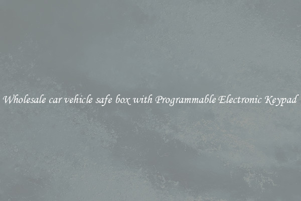 Wholesale car vehicle safe box with Programmable Electronic Keypad 