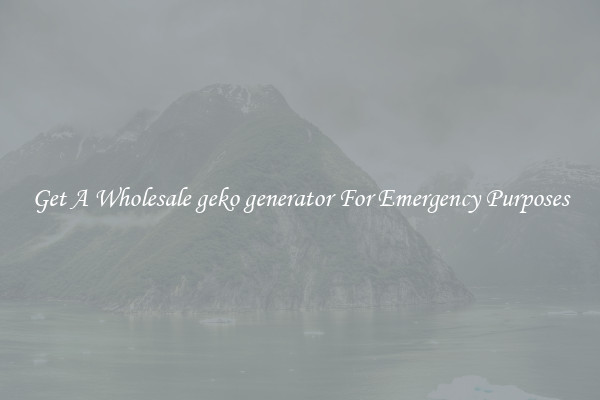 Get A Wholesale geko generator For Emergency Purposes