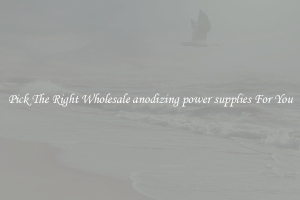 Pick The Right Wholesale anodizing power supplies For You