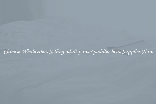 Chinese Wholesalers Selling adult power paddler boat Supplies Now