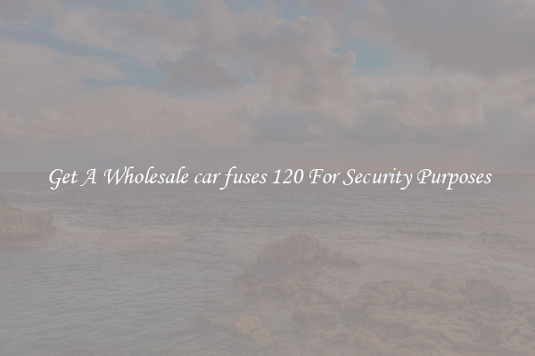 Get A Wholesale car fuses 120 For Security Purposes