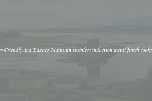 User-Friendly and Easy to Maintain stainless induction metal finish cookware